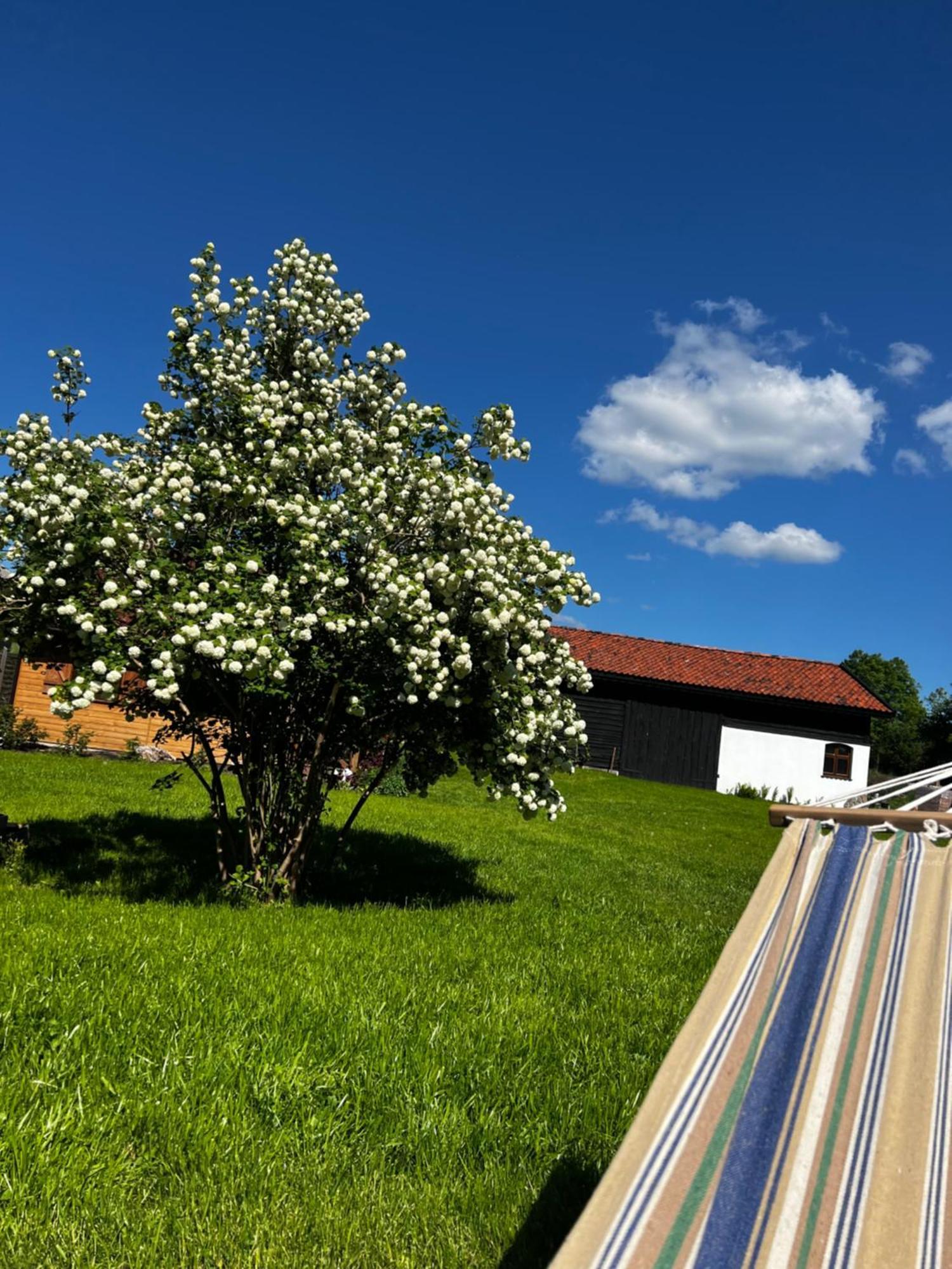 Oaza Marcinkowska Holiday home